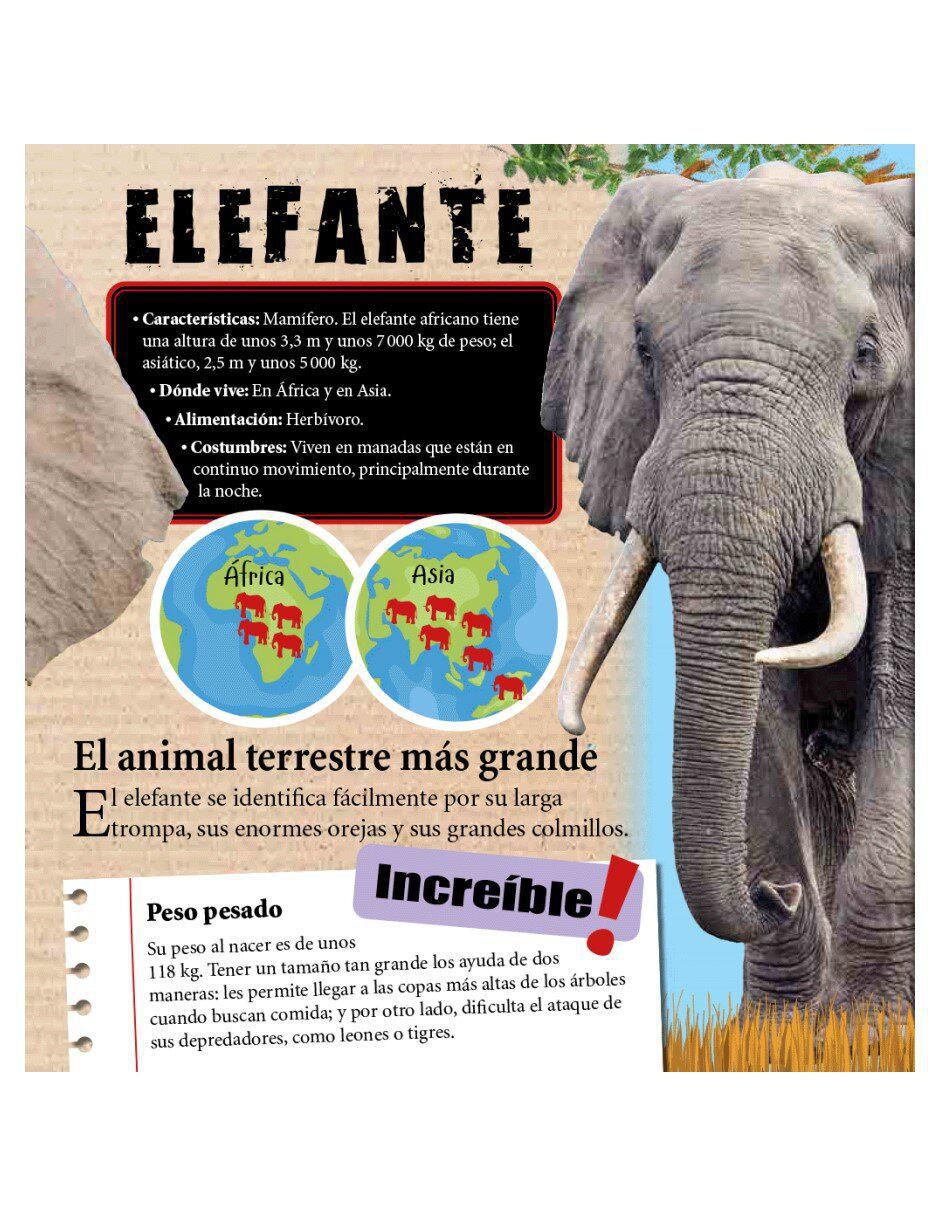 Libro Animales Extraordinarios de Equipo Libsa 3