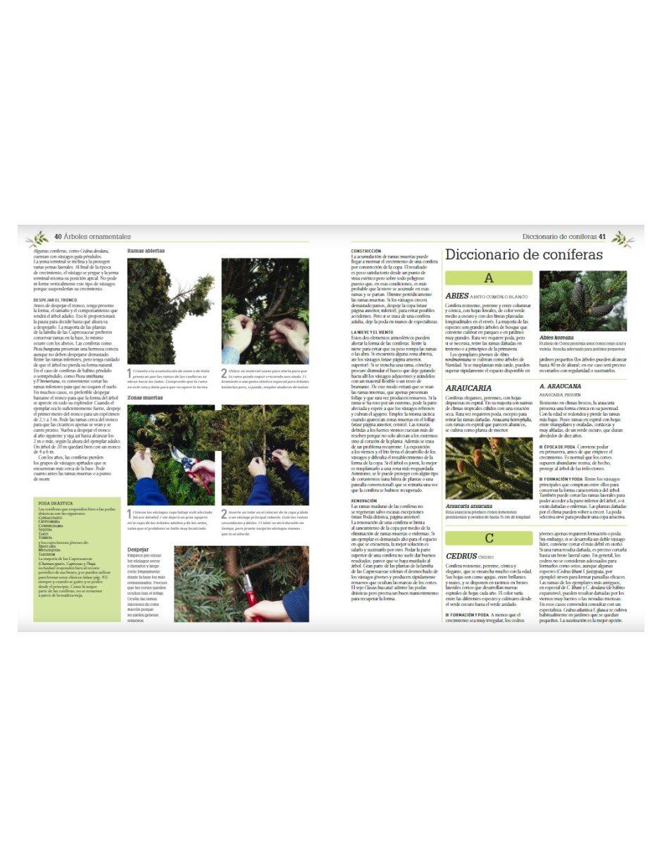 Libro Enciclopedia de la poda y formación de Cristopher Brickell/David joyce /Royal Horticultural Society 3
