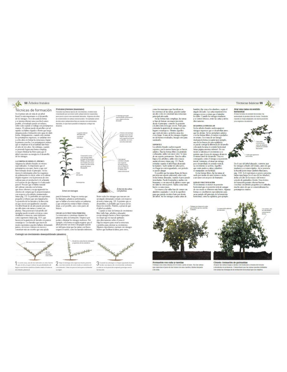 Libro Enciclopedia de la poda y formación de Cristopher Brickell/David joyce /Royal Horticultural Society 4
