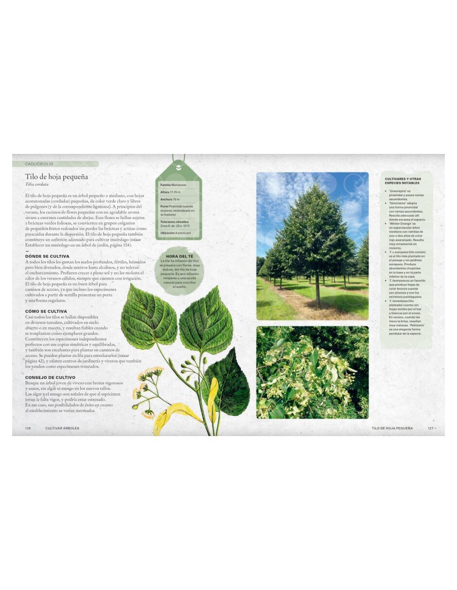 Libro Cultivar árboles de T. Kirkham/Royal Botanic Gardens/Kew 2
