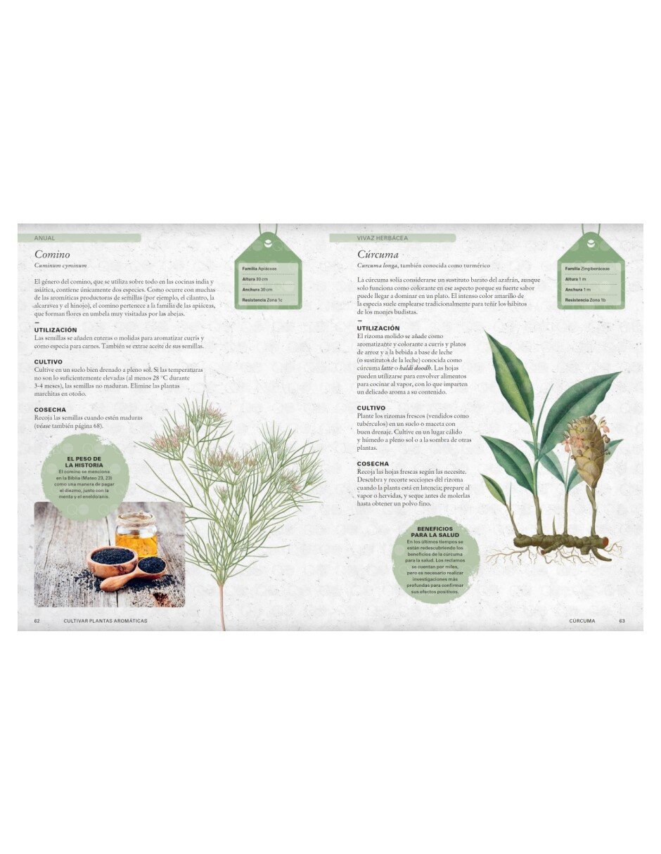 Libro Cultivar plantas aromáticas de Holly Farrell /Royal Botanic Gardens/Kew 4