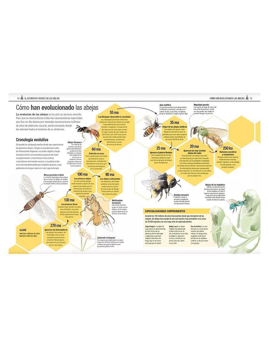 El libro de las abejas de Varios autores 2