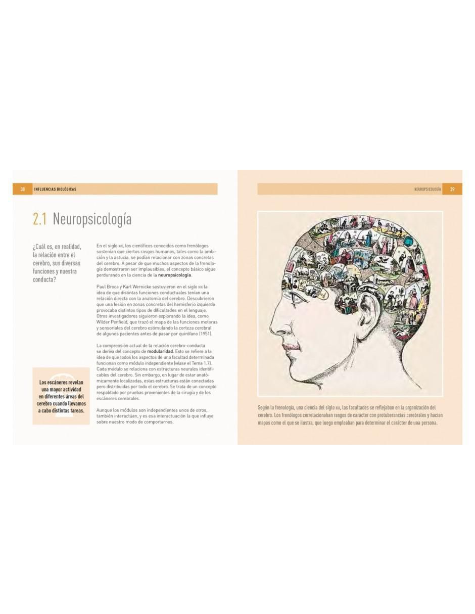 Libro Psicología: 100 Conceptos de Christopher Sterling / Daniel Frings 2