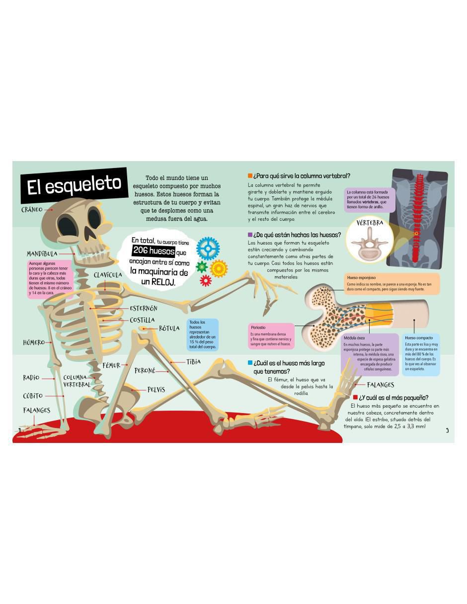 Libro Guía definitiva del cuerpo humano de Carla Nieto Martínez 3