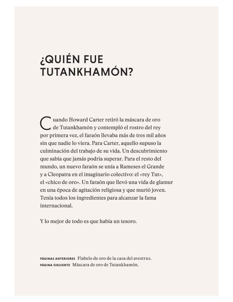 Libro Los Tesoros de Tutankhamón de Garry J. Shaw 4