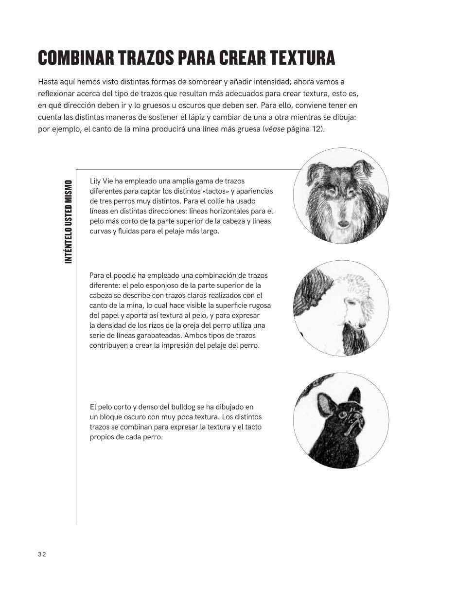 Libro Lápiz: Ideas creativas y técnicas de Eve Blackwood / Selwyn Leamy 4