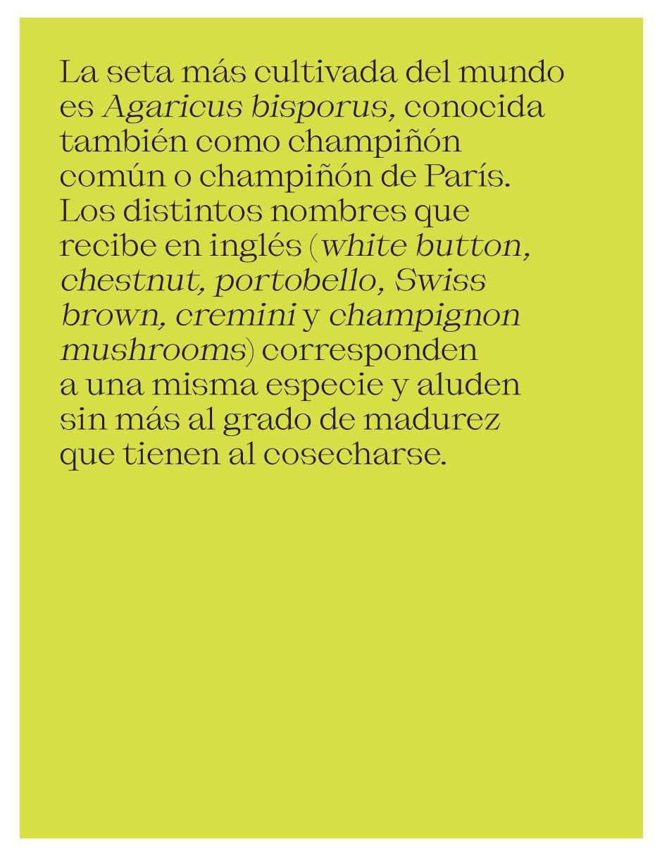 Libro El Futuro es Fúngico de Michael Lim y Yun Shu 4