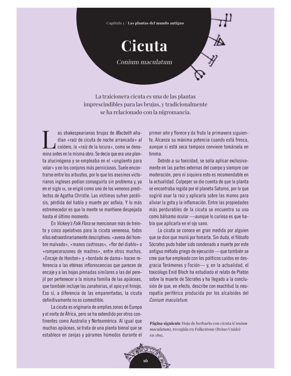 Libro El Huerto de las Brujas de Sandra Lawrence / Royal Botanic Gardens 4