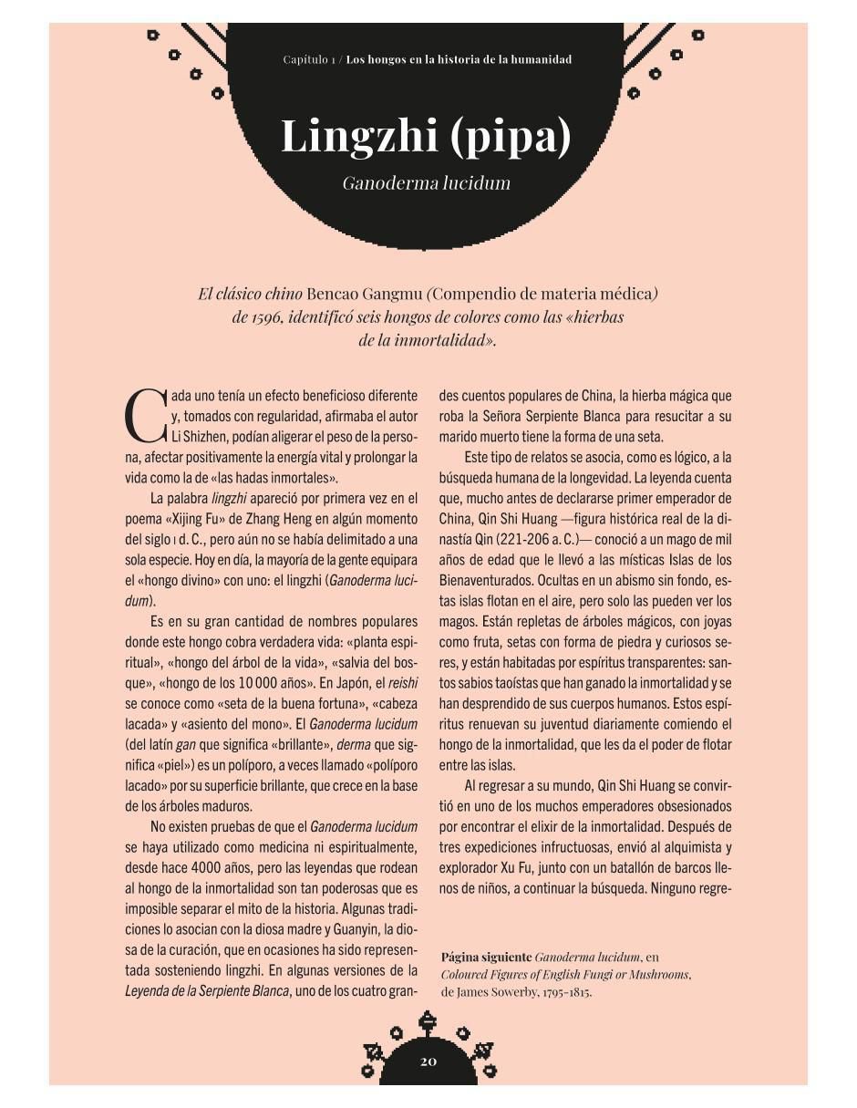Libro La Magia de los Hongos de Sandra Lawrence / Royal Botanic Gardens 4