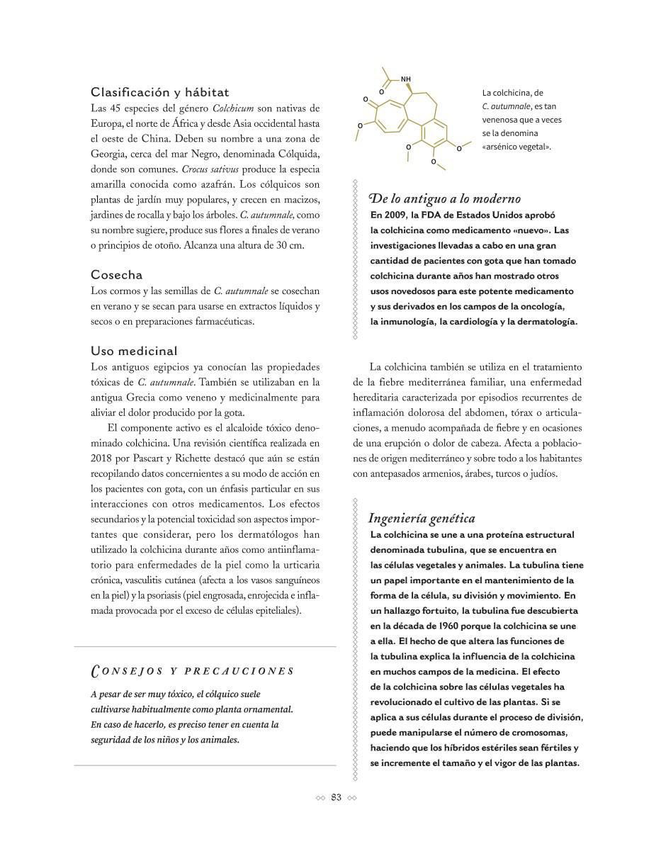 Libro Botanicum Medicinale: Guía ilustrada de Plantas Medicinales de Catherine Whitiock 3