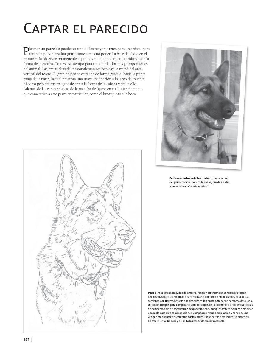 Libro Guía Completa de Dibujo: Animales 3