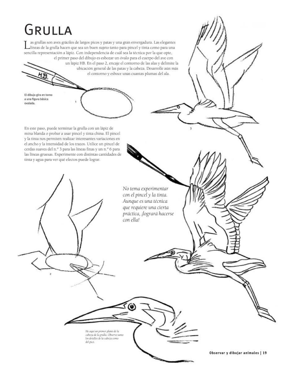 Libro Guía Completa de Dibujo: Animales 4