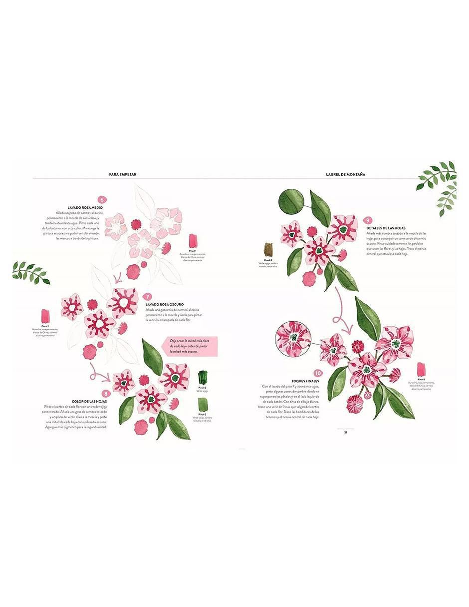 Libro Pintar Acuarelas en 10 Pasos. Flores y Plantas de Eleanor Longhurst 2