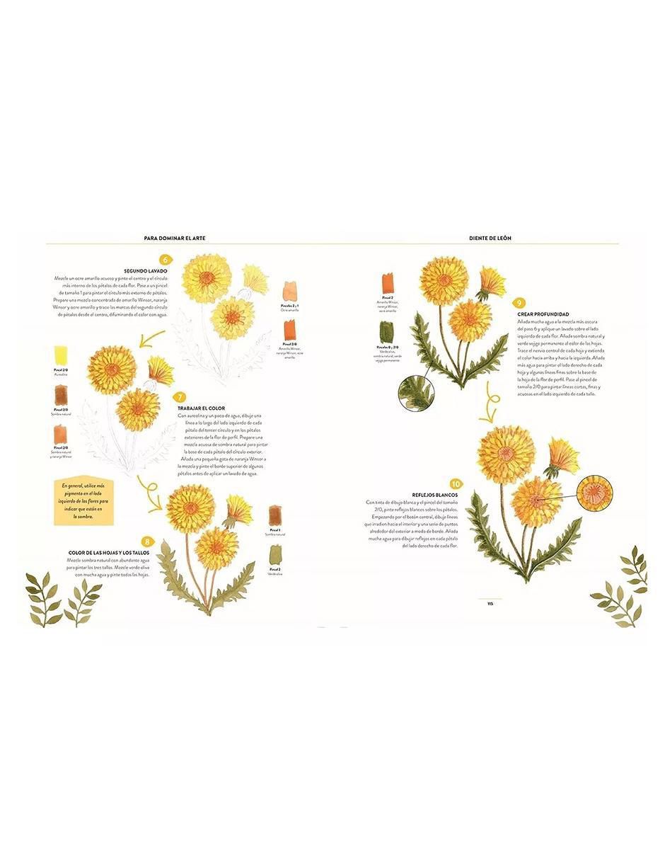 Libro Pintar Acuarelas en 10 Pasos. Flores y Plantas de Eleanor Longhurst 3