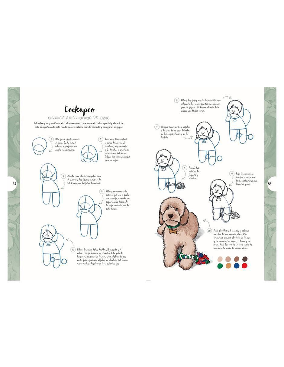 Libro Dibujar en 10 Pasos Perros de Justine Lecouffe 2