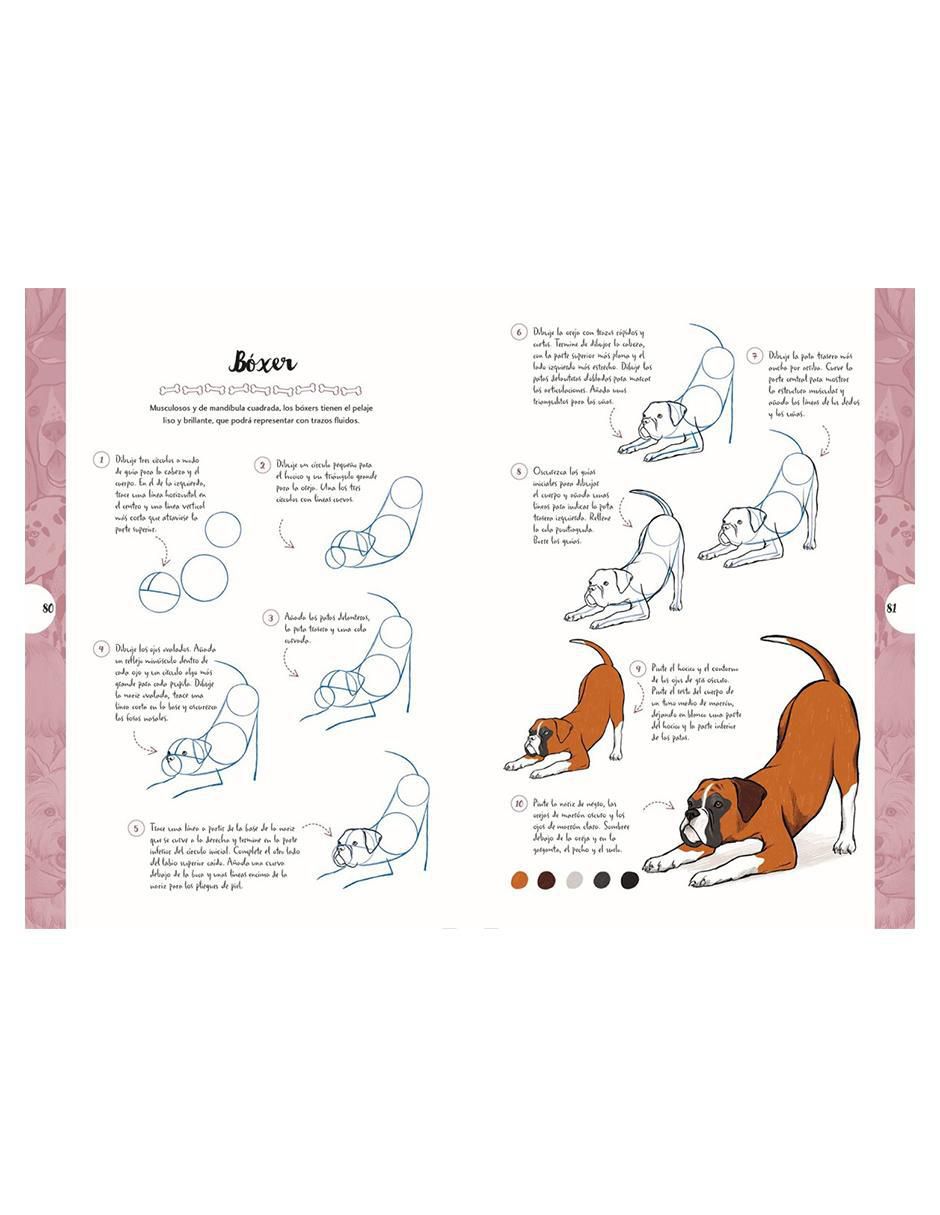 Libro Dibujar en 10 Pasos Perros de Justine Lecouffe 3