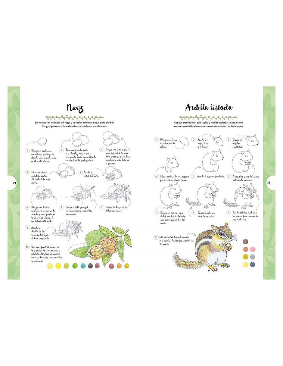Libro Dibujar Animales y Plantas en 10 Pasos de Mary Woodin 3