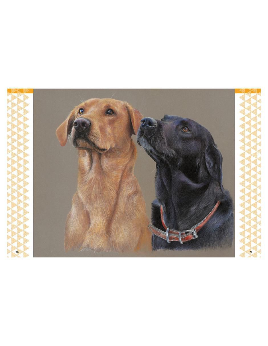 Libro Dibujar Animales Realistas con Lápices de Colores de Bonny Snowdon