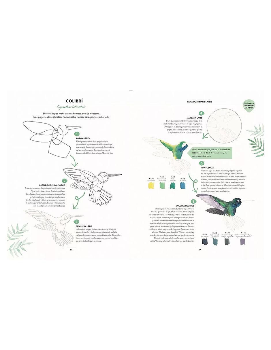 Libro Pintar Acuarelas en 10 Pasos. Aves de Eleanor Longhurst 2