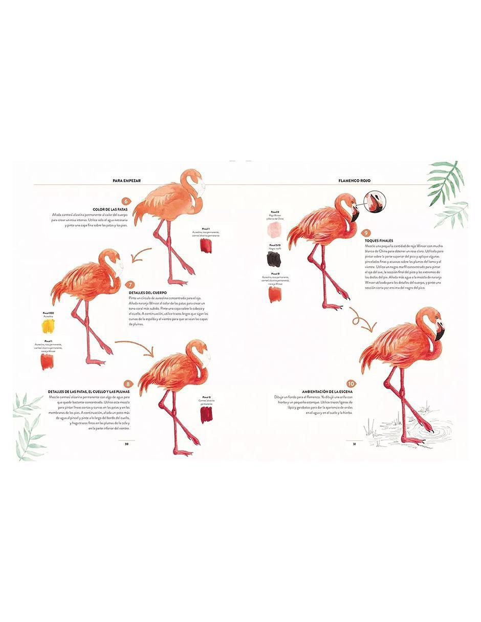 Libro Pintar Acuarelas en 10 Pasos. Aves de Eleanor Longhurst 3