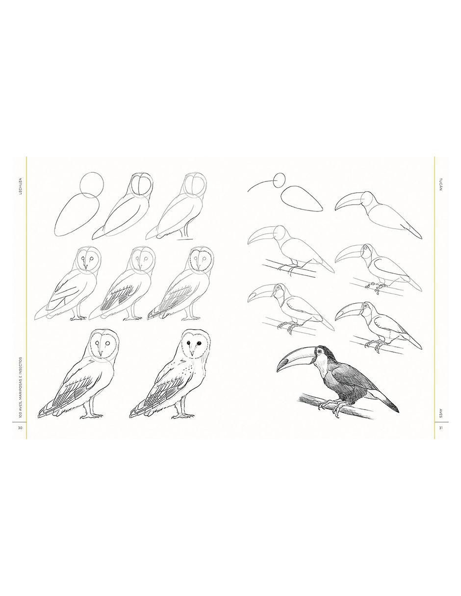 Libro 100 Aves, Mariposas e Insectos. Dibujo realista paso a paso de Melissa Washburn 3