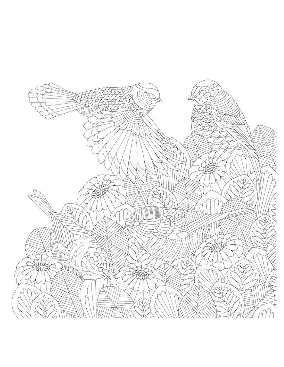 Libro Aves Hermosas y Otros Tesoros de los Árboles Una aventura para colorear de Millie Marotta 3