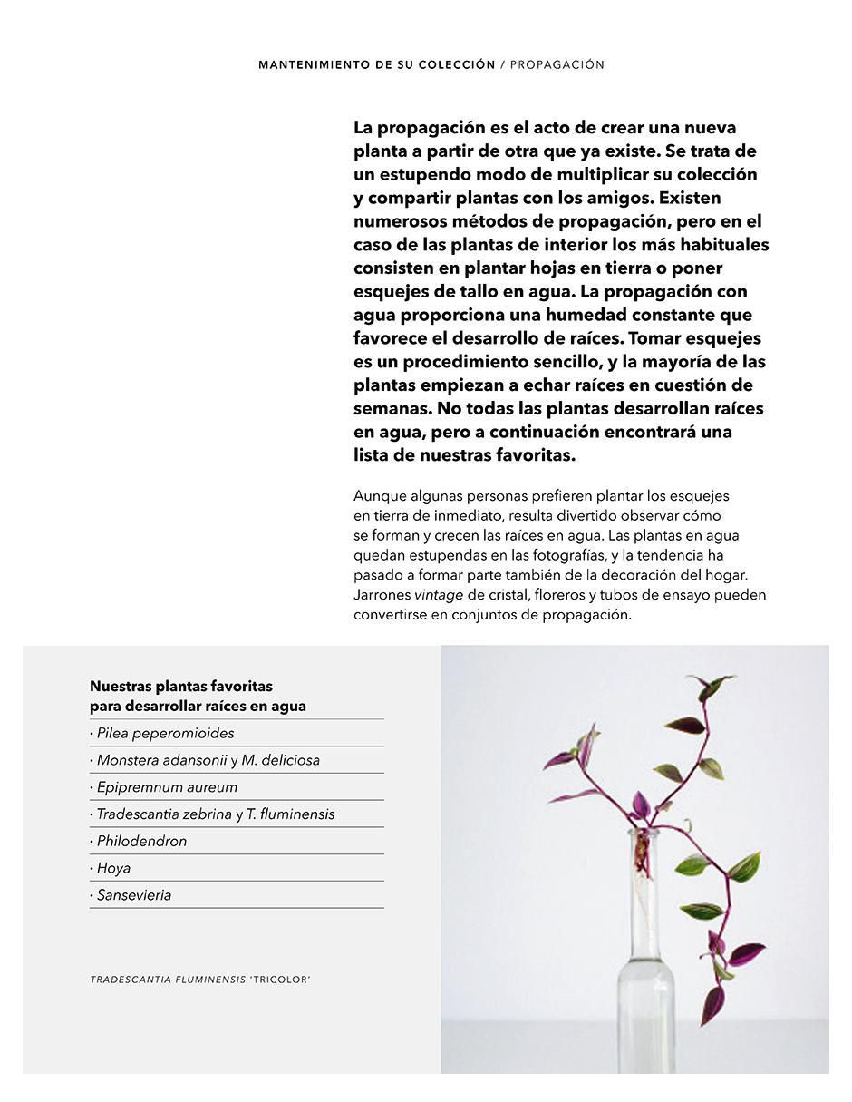 Libro Plantas cuidadas, plantas felices de Morgan Doane y Erin Harding 3