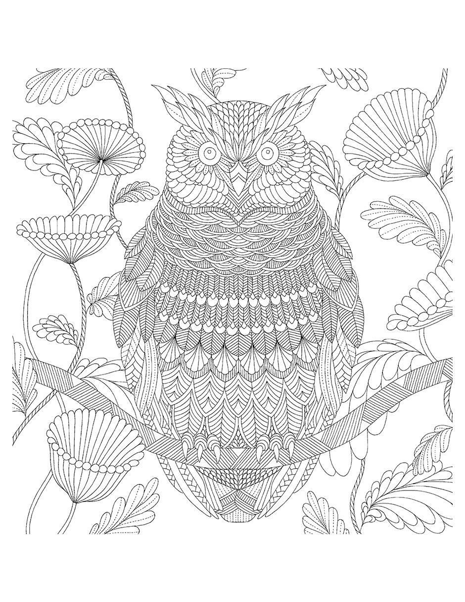Libro Maravillas de la Vida Silvestre. Una aventura para colorear de Millie Marotta 3