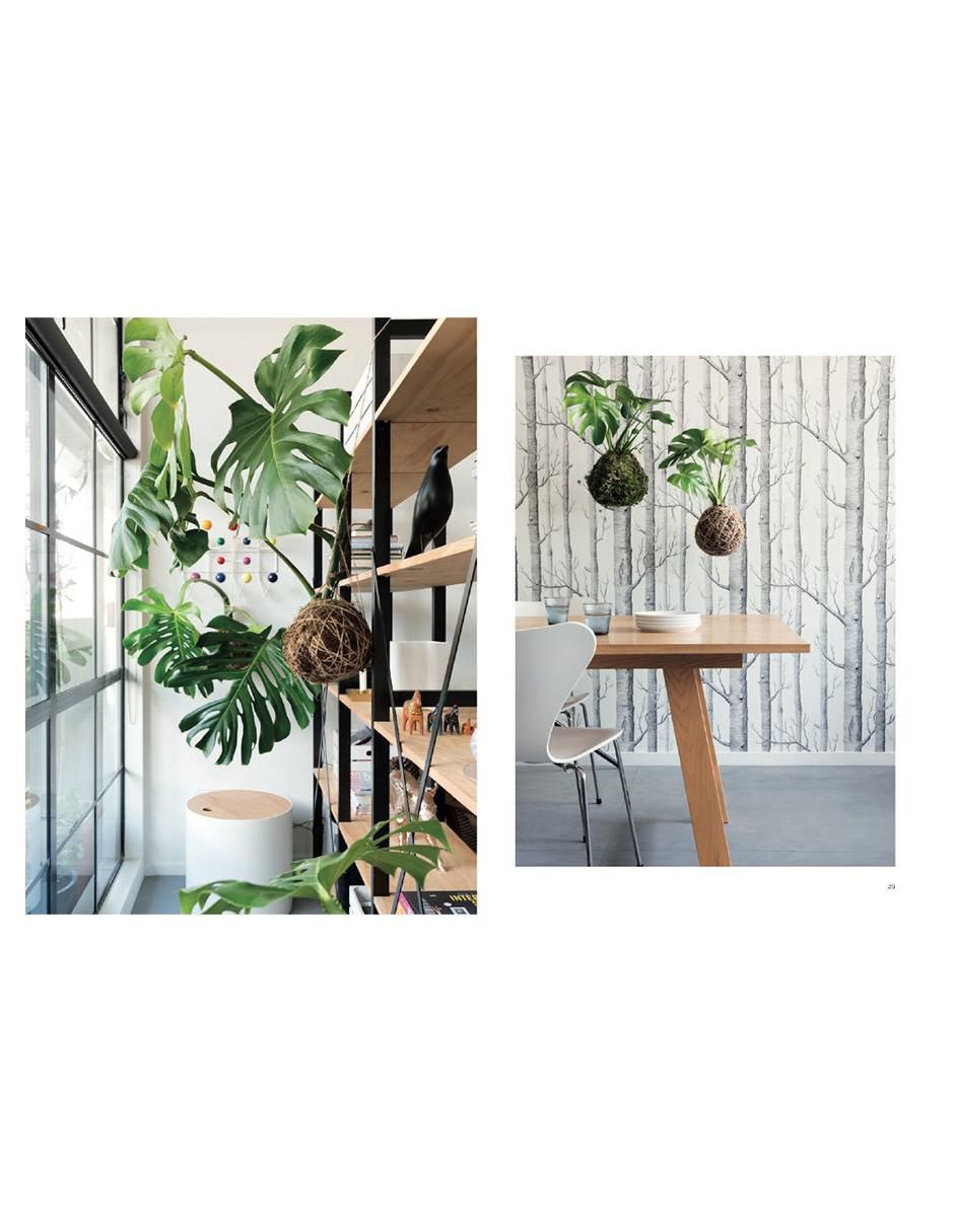 Libro Kokedama: Plantas sin Recipientes para el hogar de Coraleigh Parker / Larnie Nicolson 2