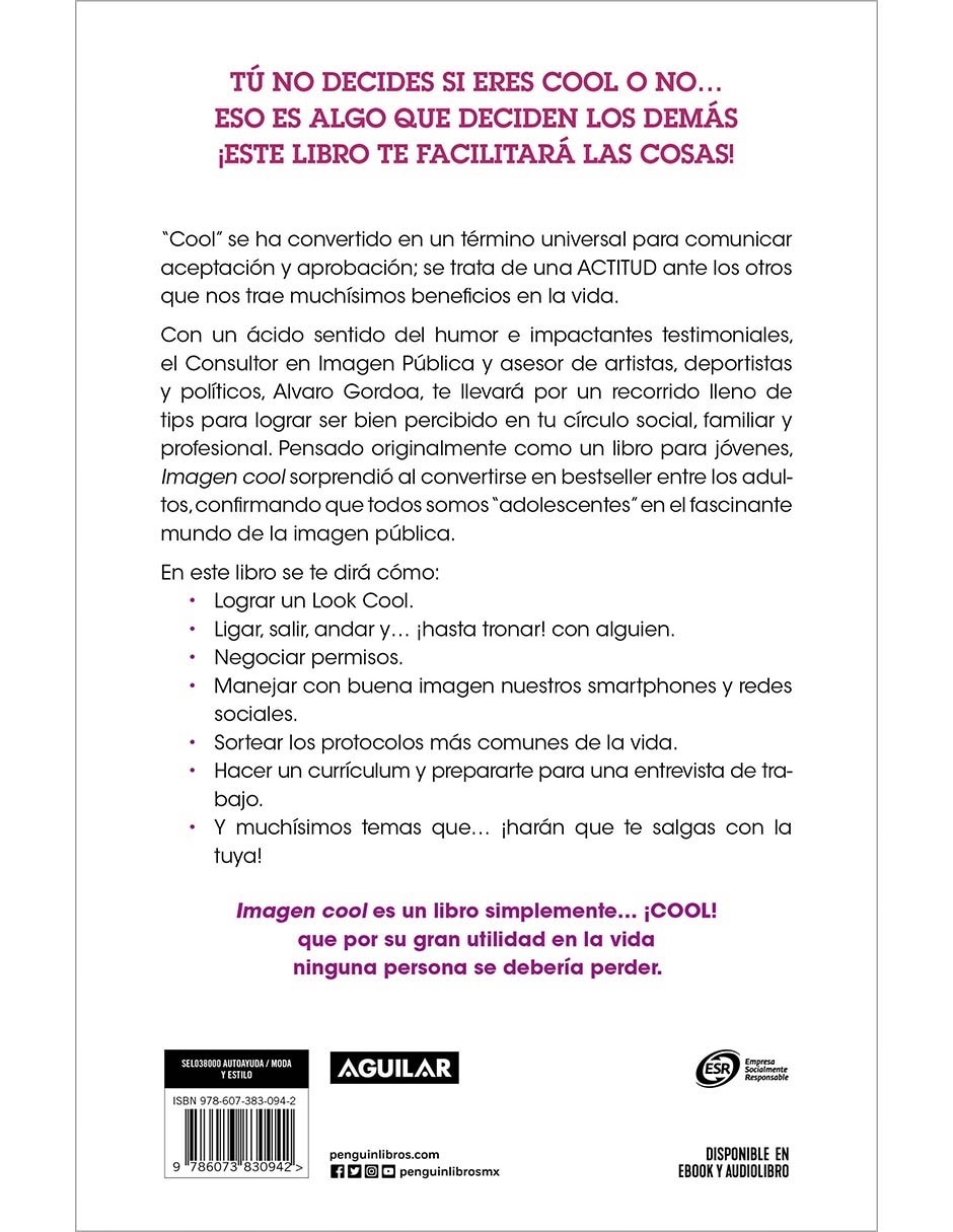 Libro Imagen Cool de Alvaro Gordoa 2