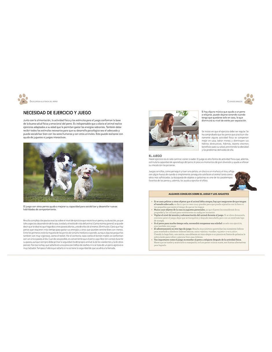 Libro Enciclopedia ilustrada del perro de Carmen Martul 4