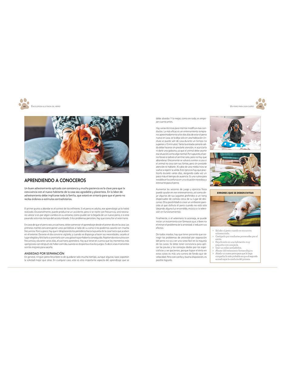 Libro Enciclopedia ilustrada del perro de Carmen Martul 6