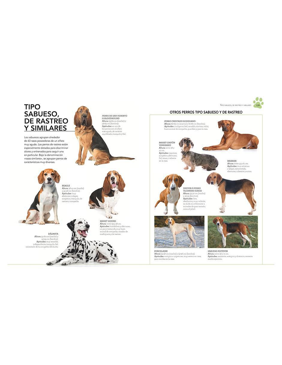 Libro Enciclopedia ilustrada del perro de Carmen Martul 7