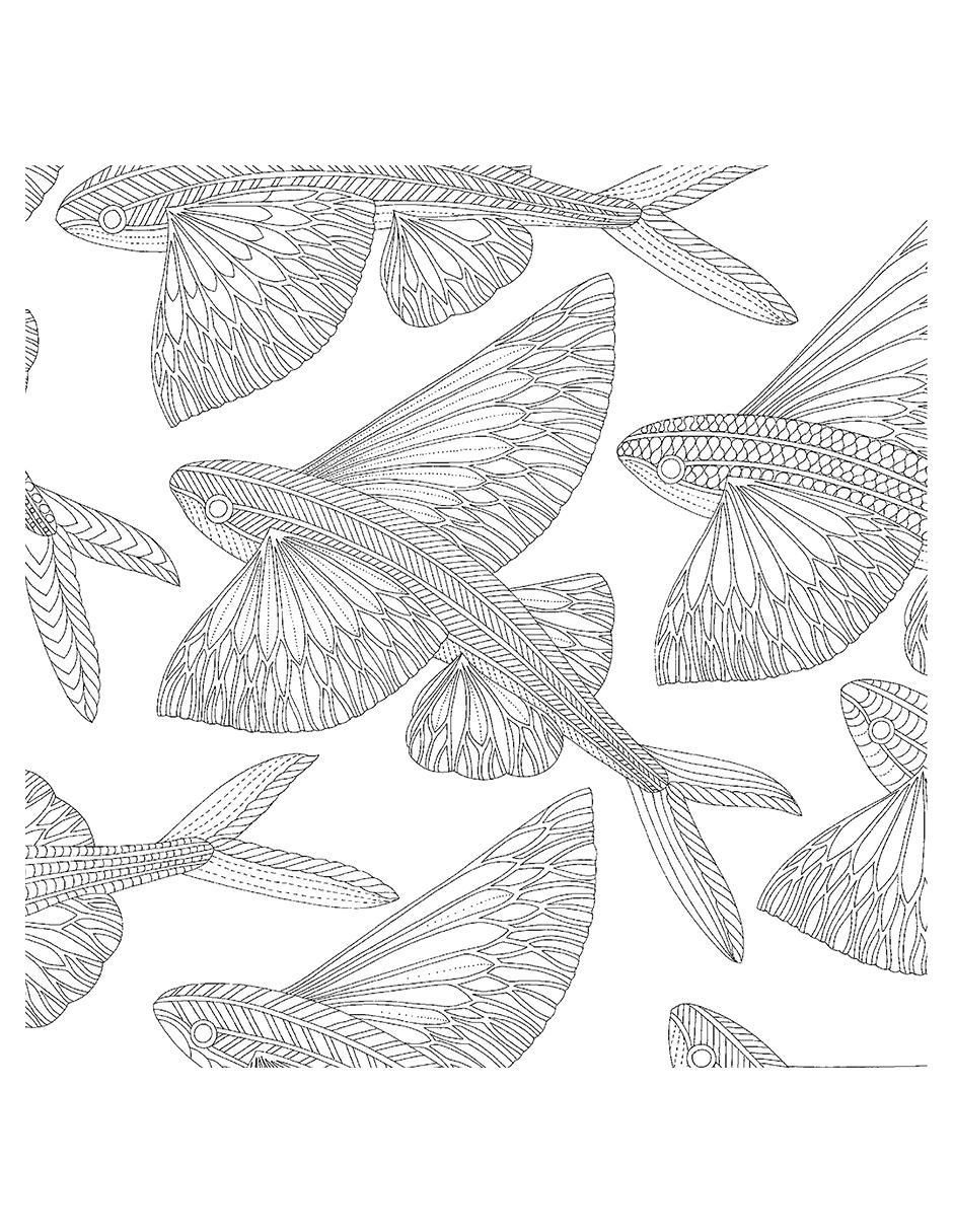 Libro Criaturas Curiosas: Miniaturas para Colorear de Millie Marotta 2