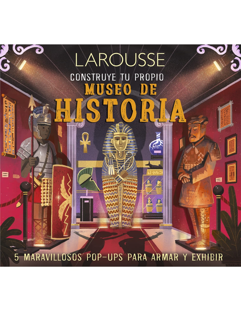 Libro Construye tu propio museo de Historia de Martín, Claudia