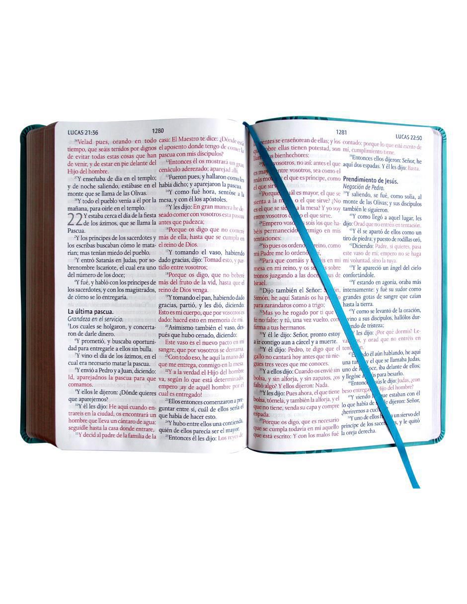 Libro Biblia letra gigante de Reina Valera 2