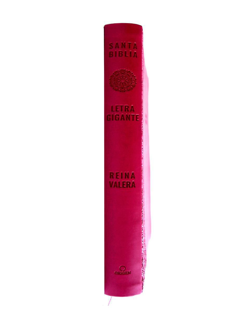 Libro Biblia letra grande de Reina Valera 2