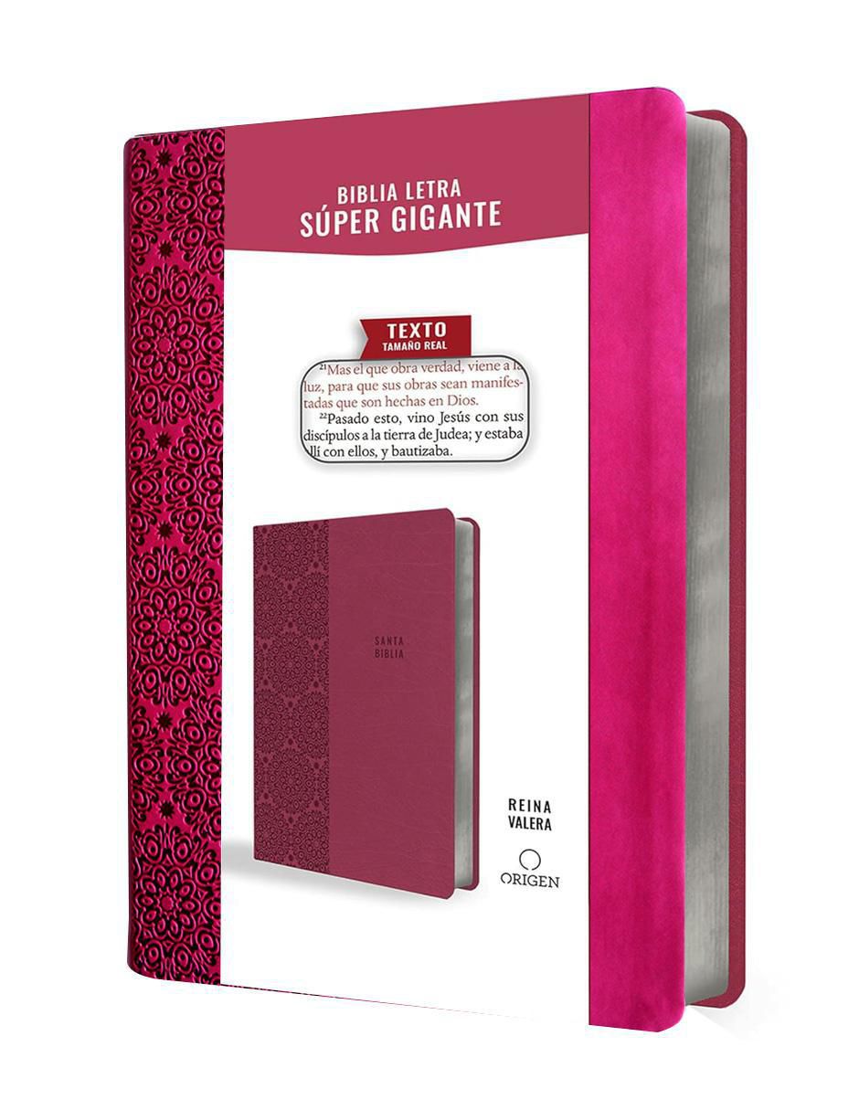 Libro Biblia letra grande de Reina Valera 3