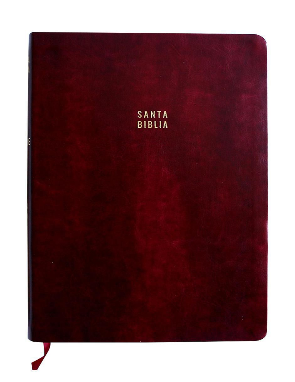 Libro Biblia de Reina Valera Libro Biblia de Reina Valera