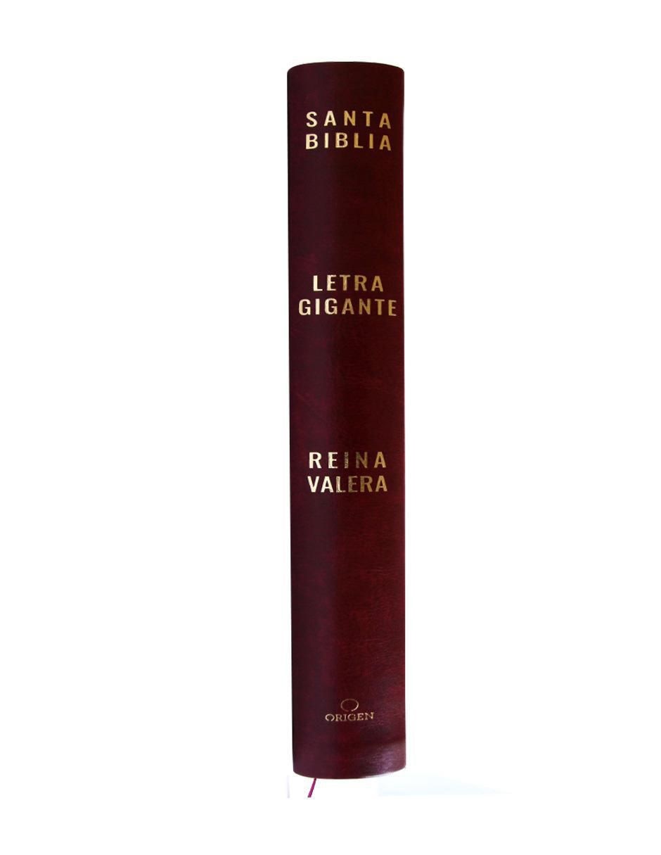 Libro Biblia de Reina Valera 2