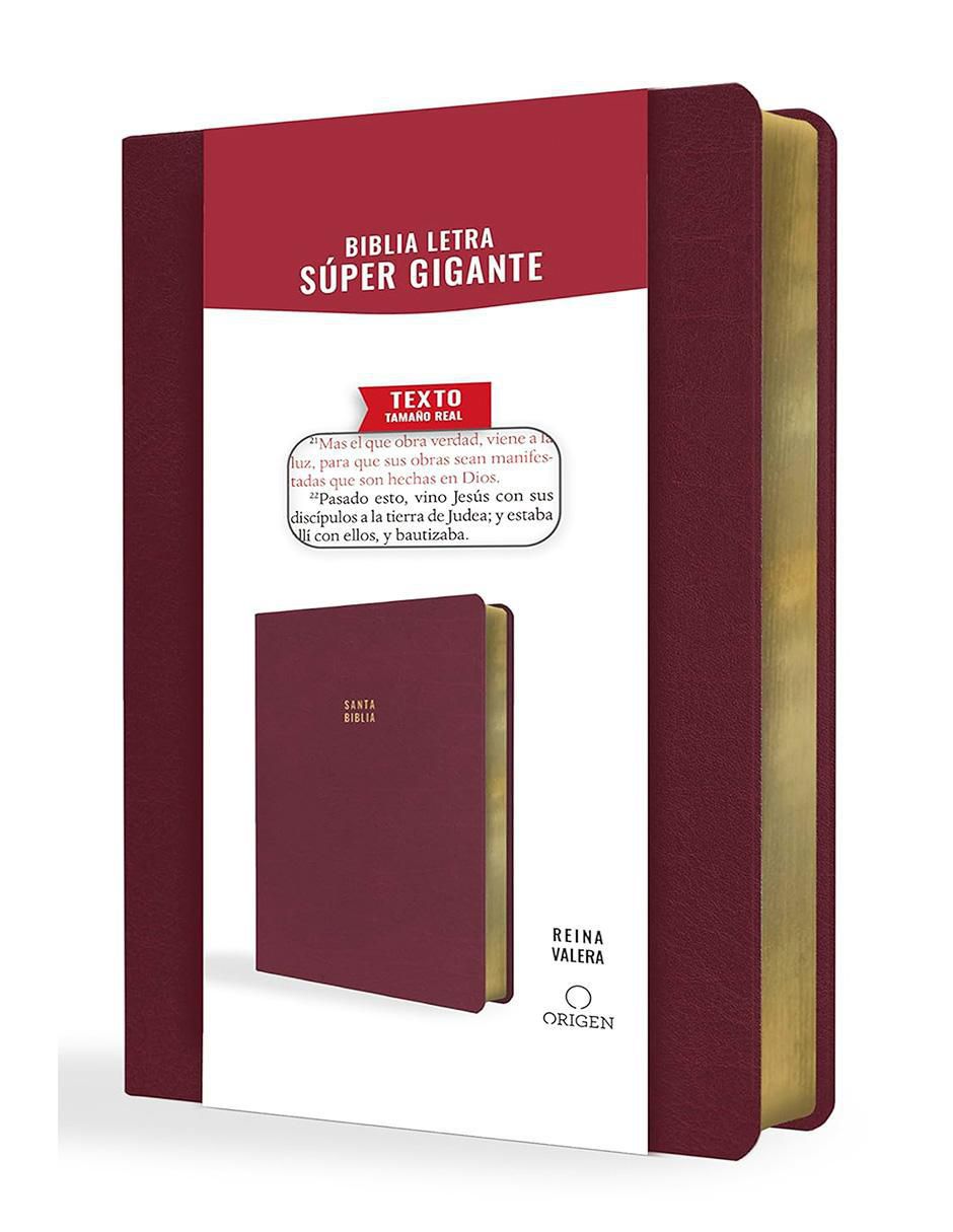 Libro Biblia de Reina Valera 3