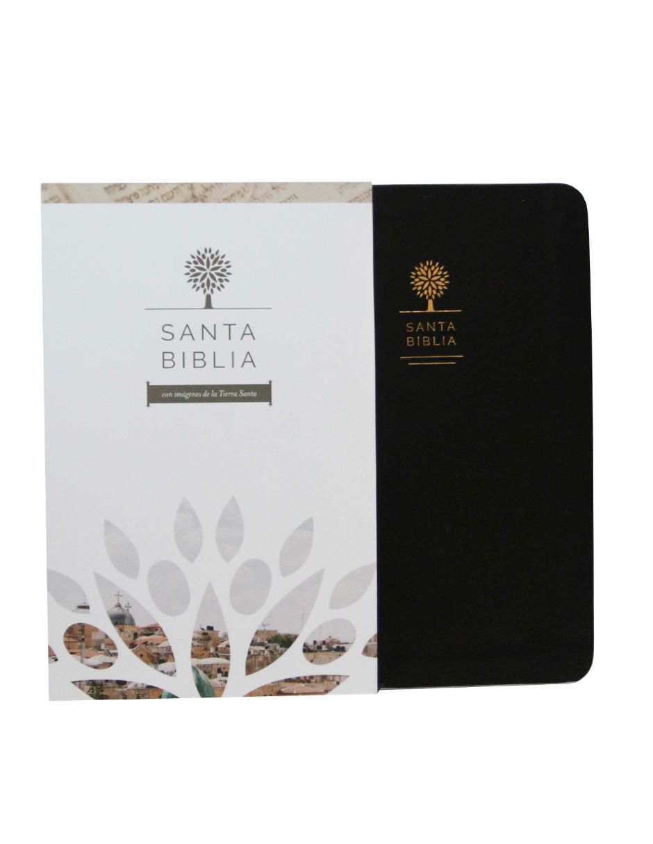 Libro Biblia letra grande de Reina Valera
