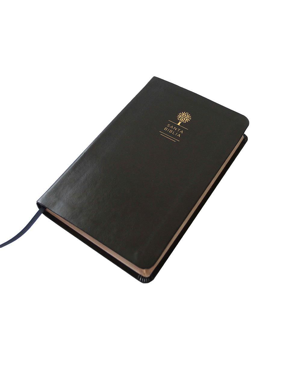 Libro Biblia letra grande de Reina Valera 3