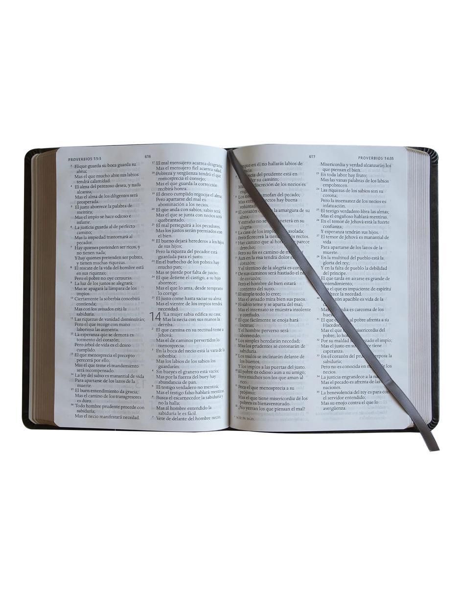Libro Biblia con nombres de Dios de Reina Valera 4
