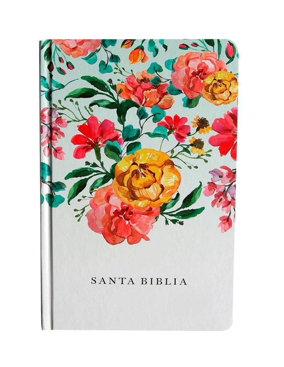 Libro Biblia de Reina Valera