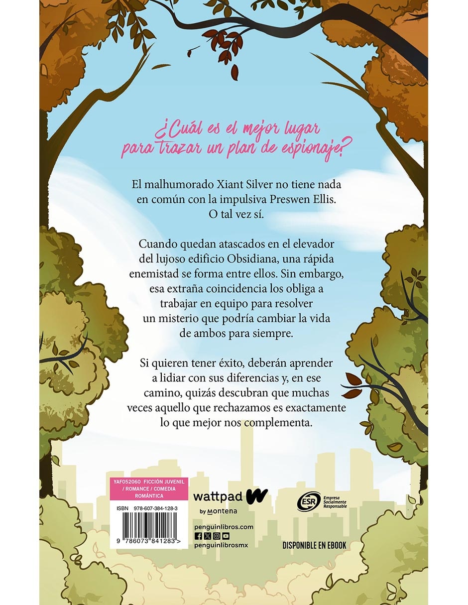 Libro El Elevador de Central Park de Ludmila Ramis 2