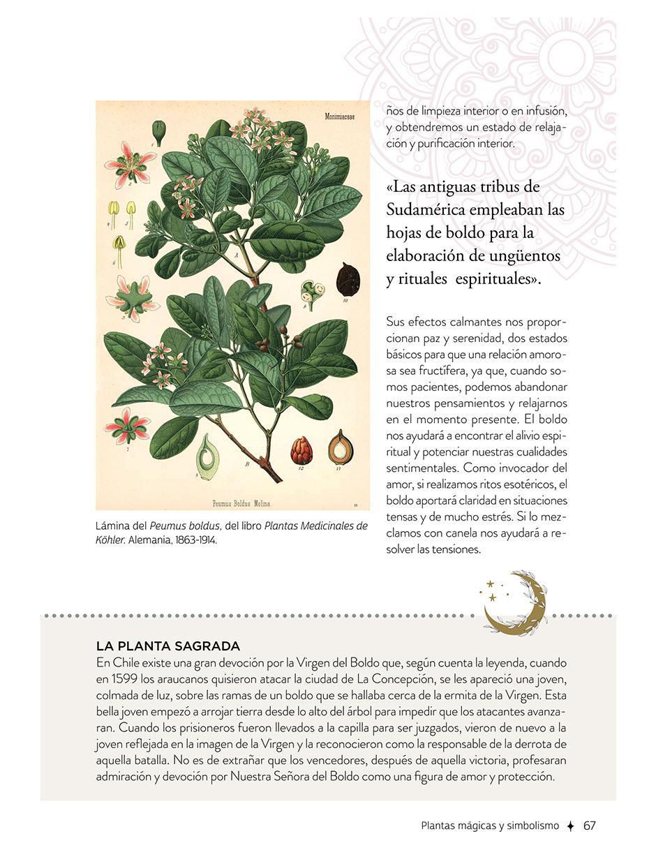 Libro Plantas Con Poderes Mágicos de Gemma Mateos 3