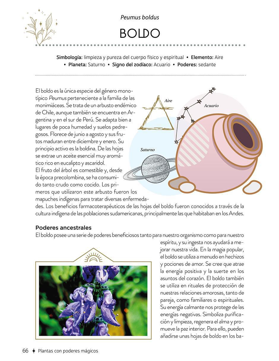 Libro Plantas Con Poderes Mágicos de Gemma Mateos 4