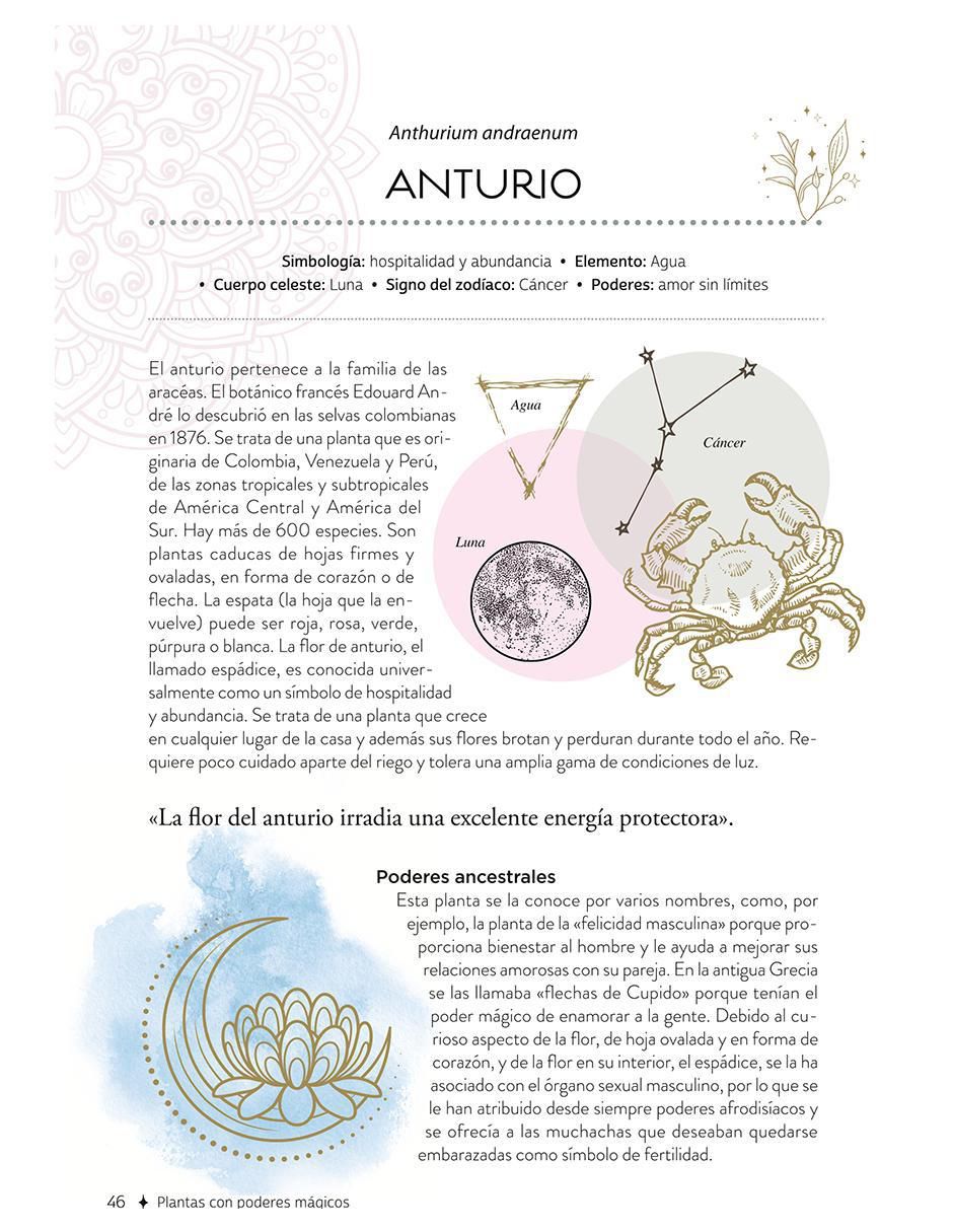 Libro Plantas Con Poderes Mágicos de Gemma Mateos 6