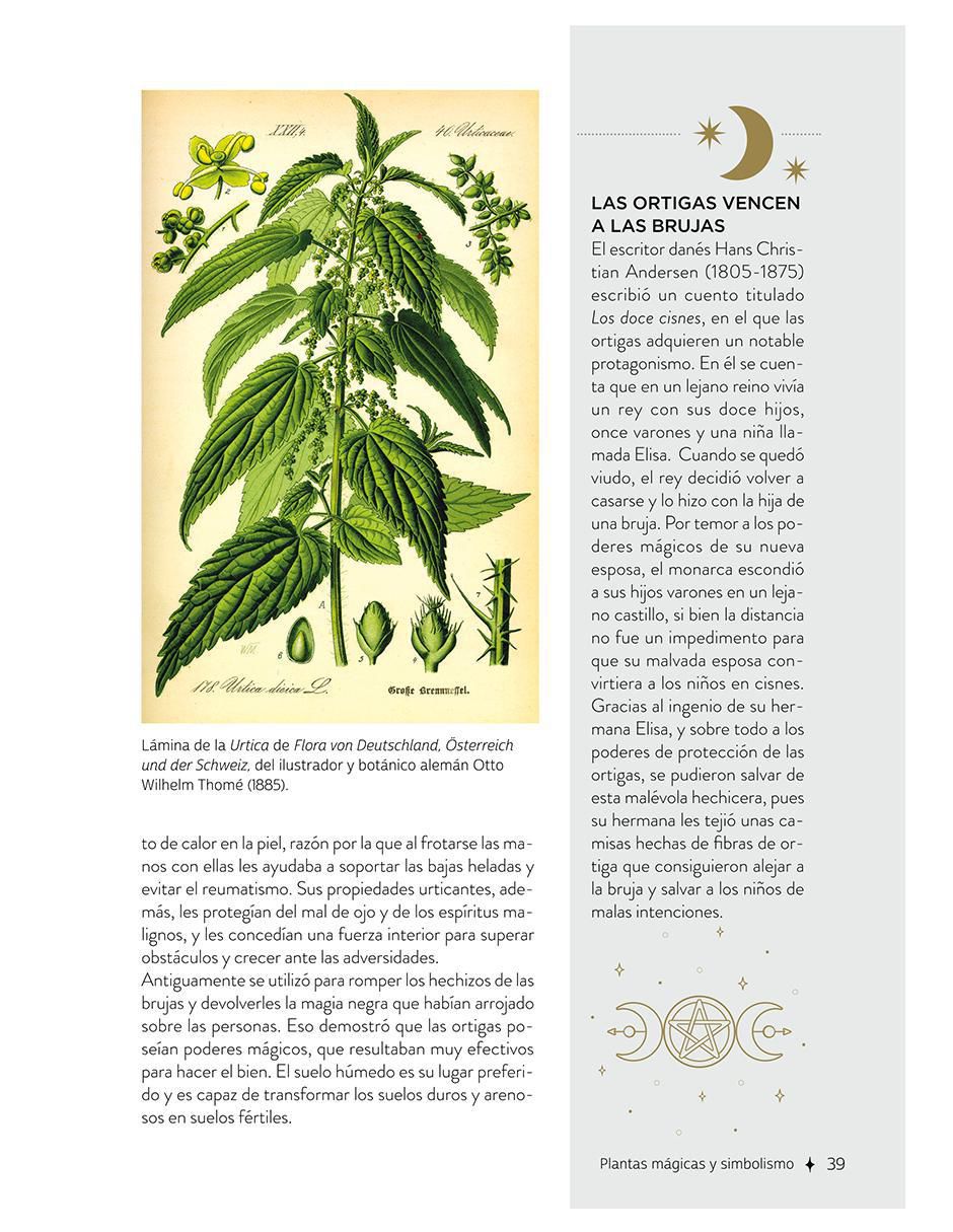 Libro Plantas Con Poderes Mágicos de Gemma Mateos 7